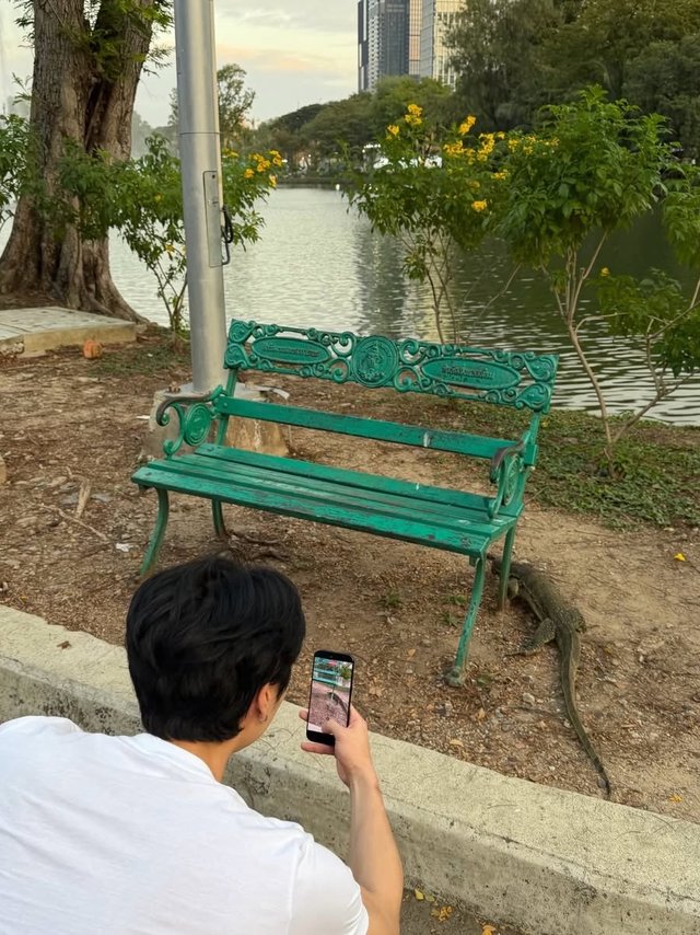 ‘ตัวเหี้ยสวนลุมฯ’ จากสัตว์ที่หลายคนกลัว สู่ซอฟต์พาวเวอร์แปลกตาของกรุงเทพฯ