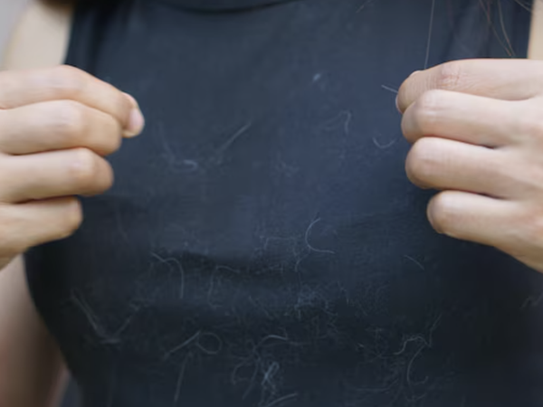 รวมทริคกำจัดขนหมา–แมวติดเสื้อ แบบง่าย ได้ผลจริง