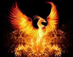 ความเชื่อเรื่องนกฟีนิกซ์ (Phoenix) – นกอมตะ ฟื้นคืนจากเถ้าถ่าน