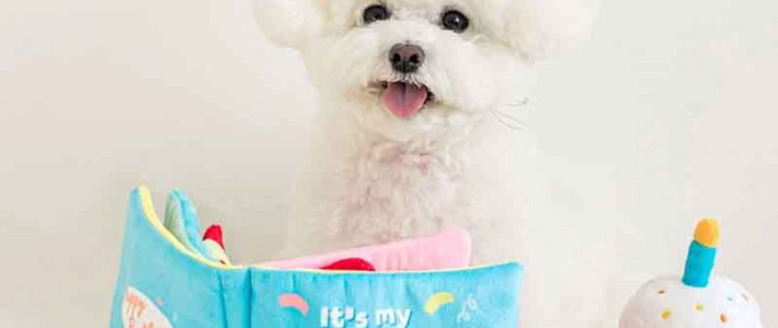 รีวิว SmartHeart อาหารหมา สูตรต่างๆ เลือกยังไงให้เหมาะกับน้องหมา