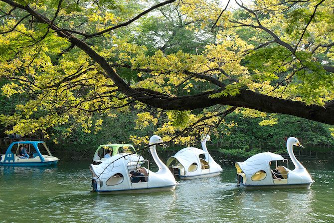 “ปั่นเป็ด” ทำไมกิจกรรมง่าย ๆ ถึงทำให้เรามีความสุขแบบไม่ต้องพยายาม? Image2