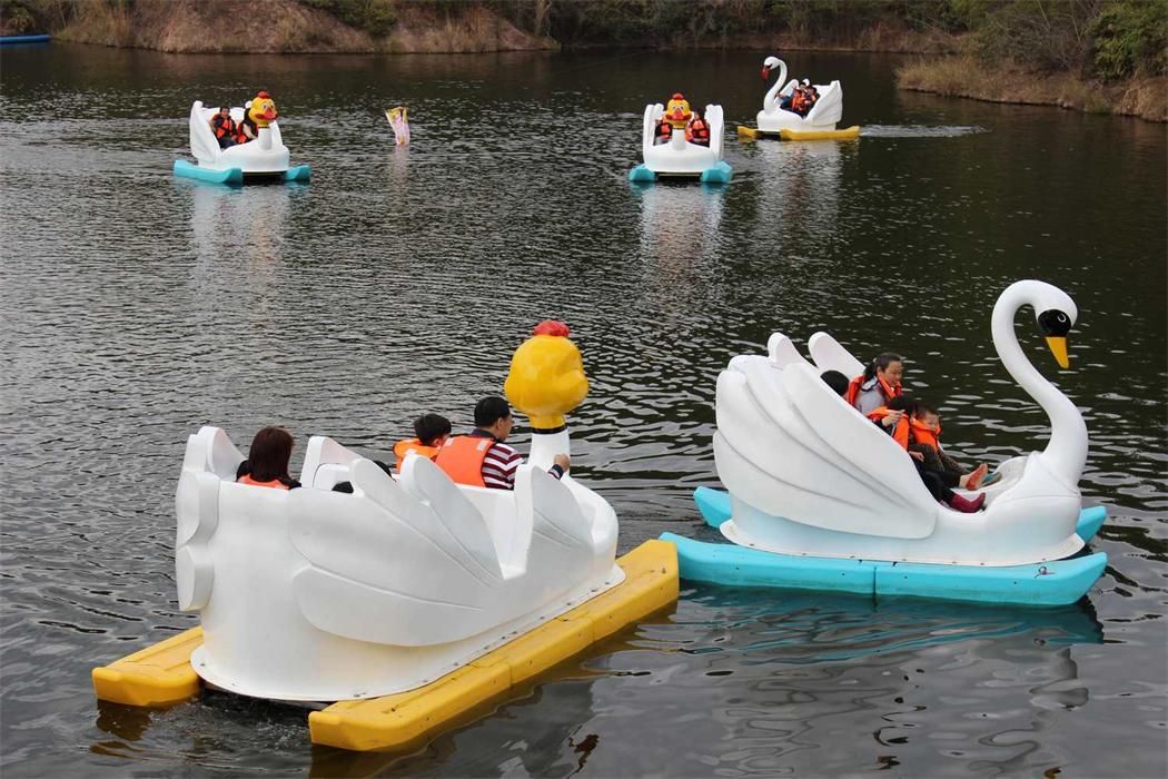 “ปั่นเป็ด” ทำไมกิจกรรมง่าย ๆ ถึงทำให้เรามีความสุขแบบไม่ต้องพยายาม? Image3