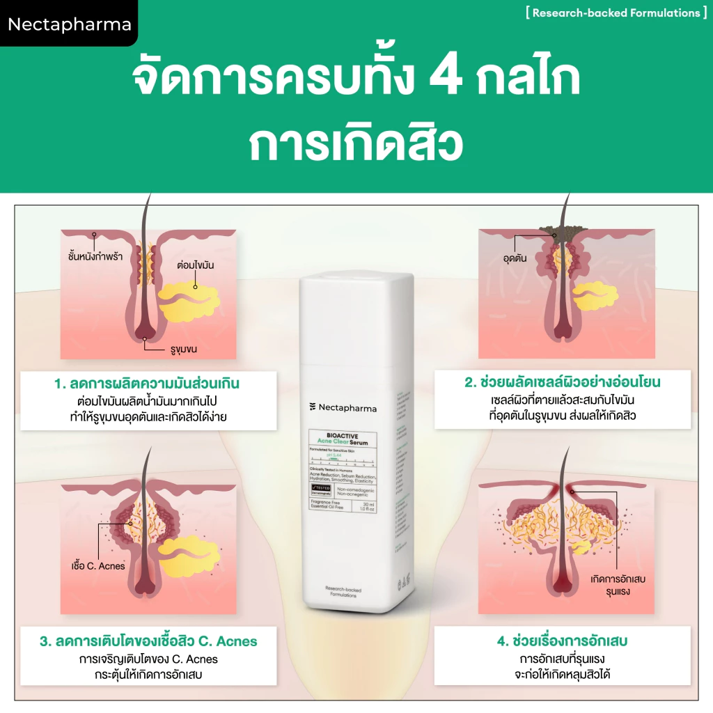 Nectapharma Acne Clear Serum – เซรั่มลดสิว เคลียร์ต้นตอ + คุมมัน Image3