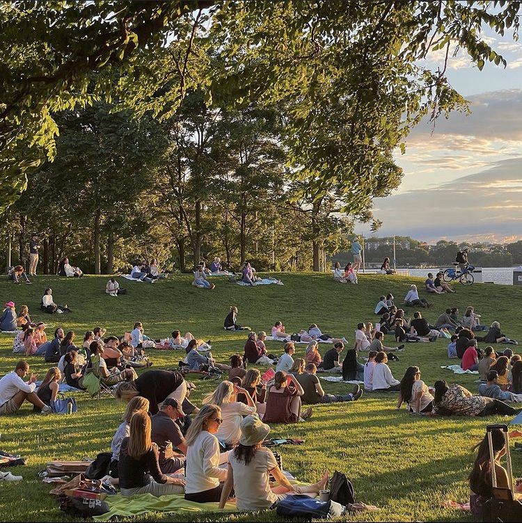 นั่งชิลที่สวน…ทำไมไอเดียมันถึงไหลมาเอง? Image1