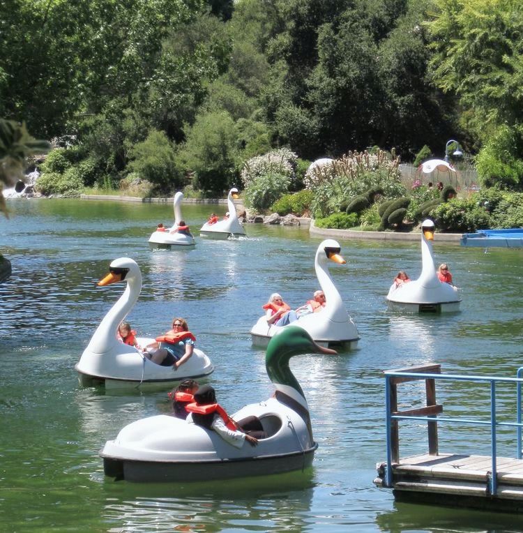 “ปั่นเป็ด” ทำไมกิจกรรมง่าย ๆ ถึงทำให้เรามีความสุขแบบไม่ต้องพยายาม? Image1