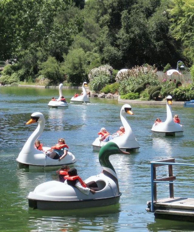 “ปั่นเป็ด” ทำไมกิจกรรมง่าย ๆ ถึงทำให้เรามีความสุขแบบไม่ต้องพยายาม?