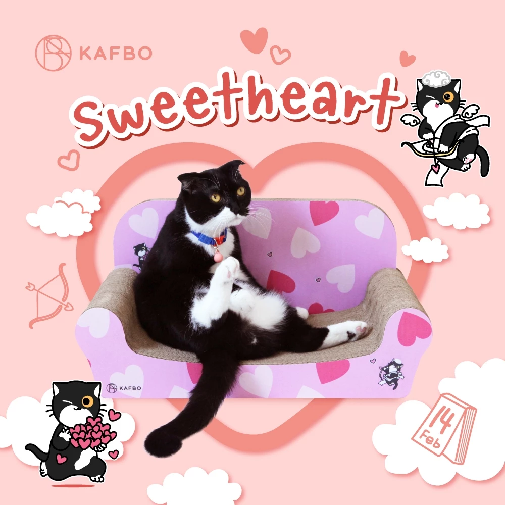 รีวิว KAFBO Cat Sleeper Sofa ที่ลับเล็บแมวทรงโซฟา