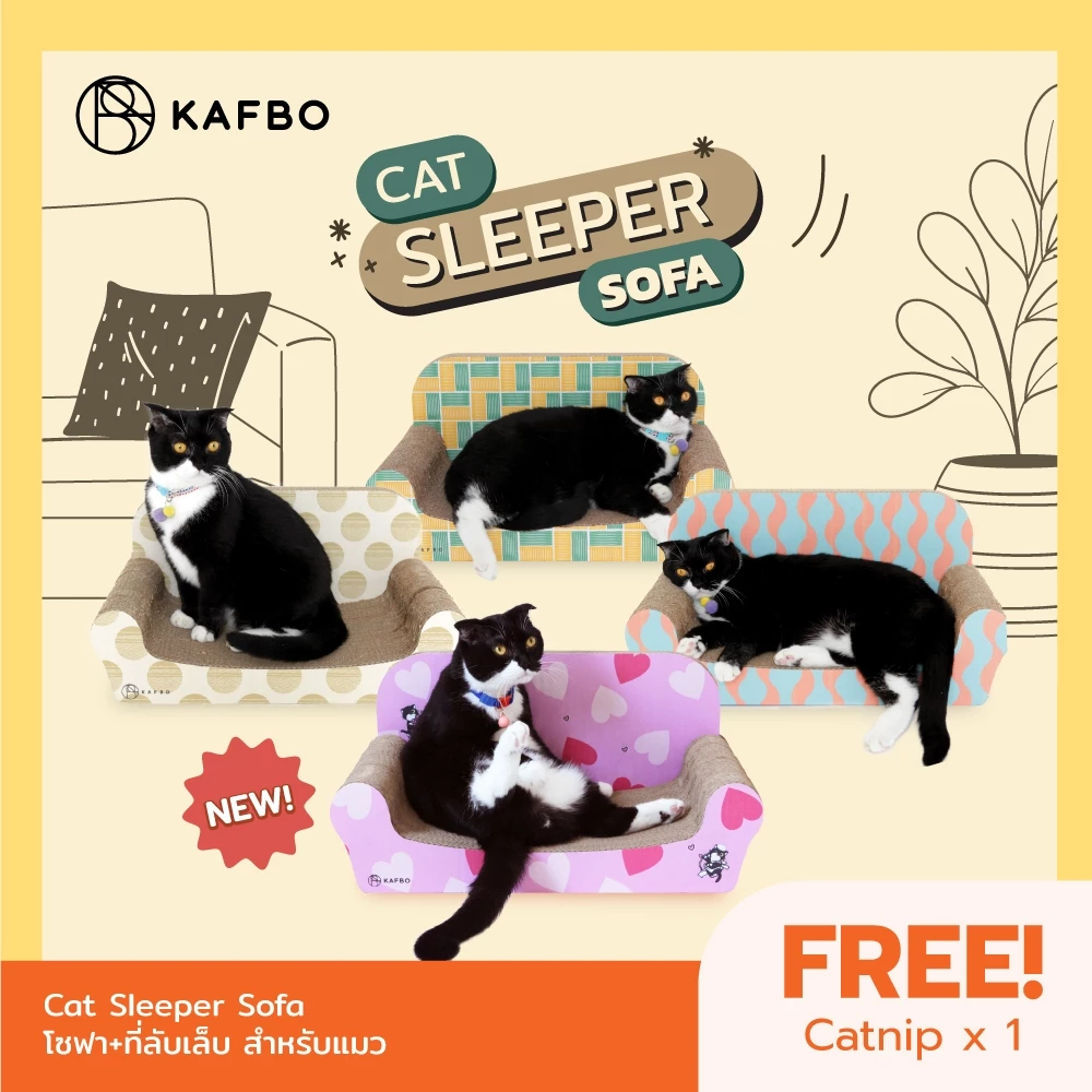 รีวิว KAFBO Cat Sleeper Sofa ที่ลับเล็บแมวทรงโซฟา Image2