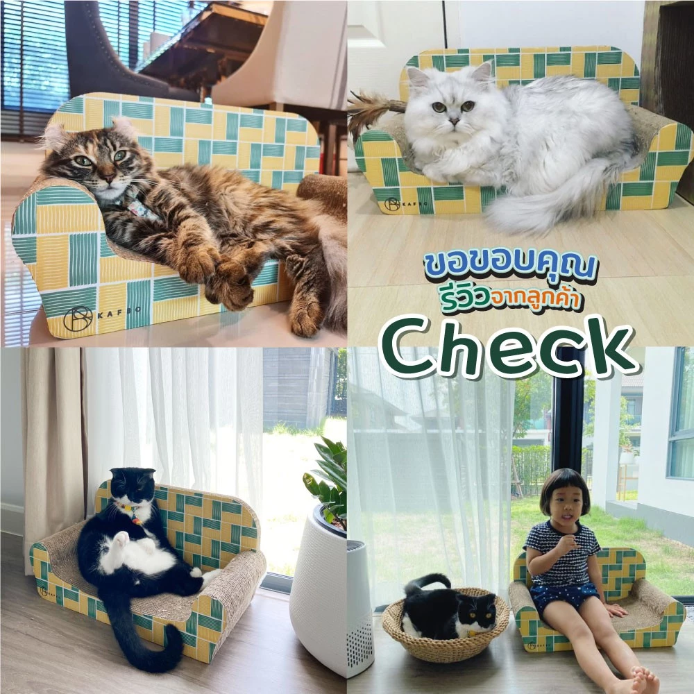 รีวิว KAFBO Cat Sleeper Sofa ที่ลับเล็บแมวทรงโซฟา Image3