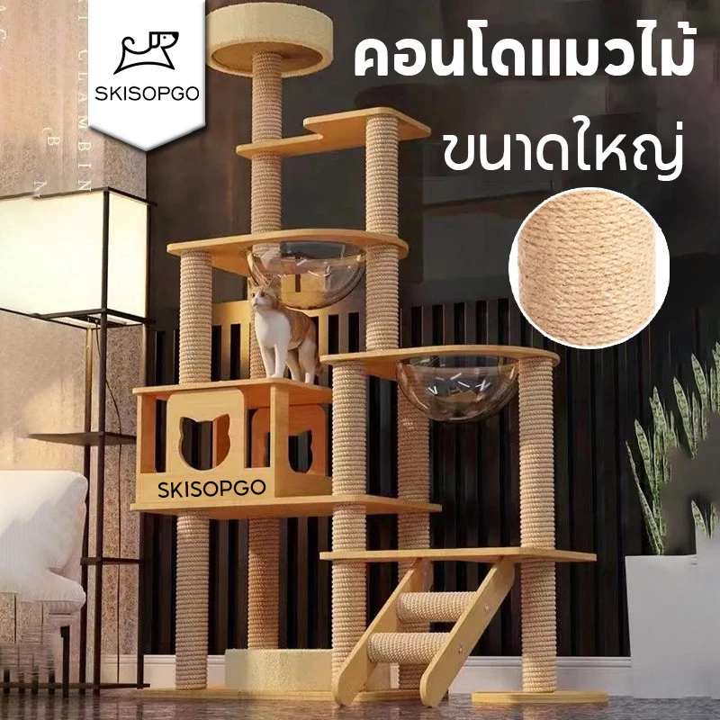 SKISOPGO คอนโดแมวไม้ มินิมอล สายใหญ่ ดีไซน์บ้าน Image1