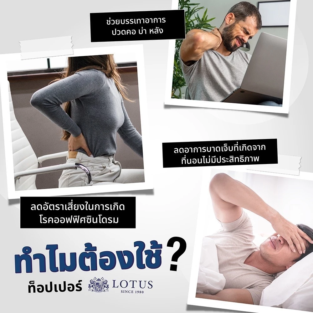 LOTUS ที่นอนยางพารา Latex ที่นอนสายซัพพอร์ต นุ่มแน่น ลดแรงกดทับ Image1