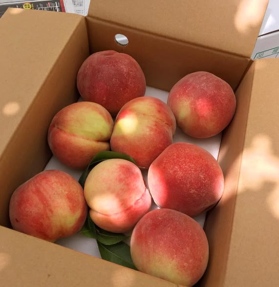 ลูกพีช ผลไม้หวานละมุน ที่ไม่ได้ดีแค่กินแต่ดีถึงผิว Image1