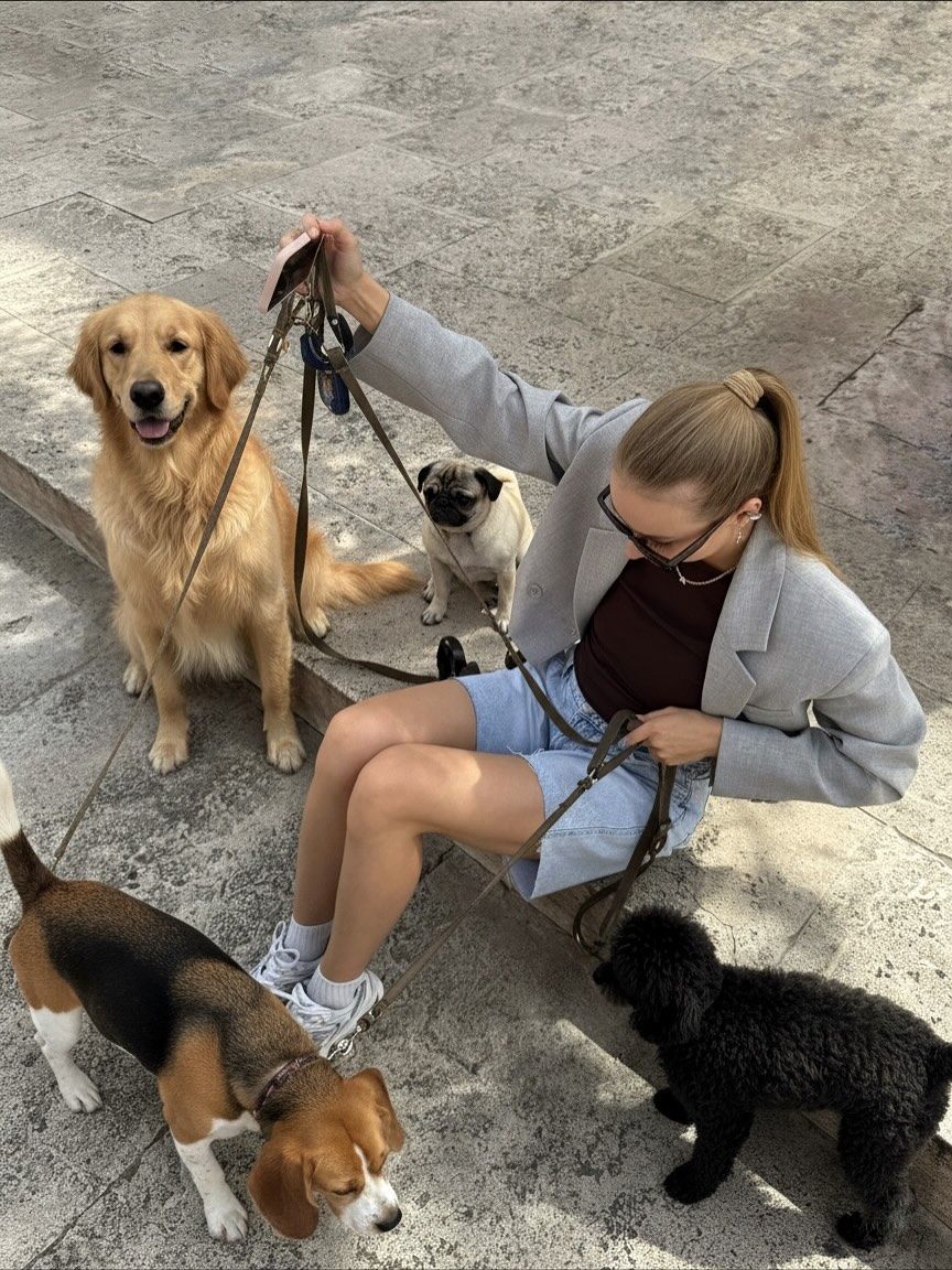 ไปเดินเล่นกับสัตว์เลี้ยง…ทำไมมันถึงฮีลใจได้มากกว่าที่คิด? Image3