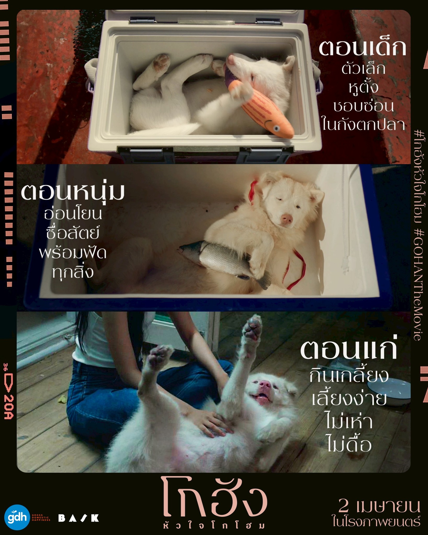 โกฮัง..หัวใจโกโฮม ทำรายได้ 70 ล้านใน 2 สัปดาห์ Image2