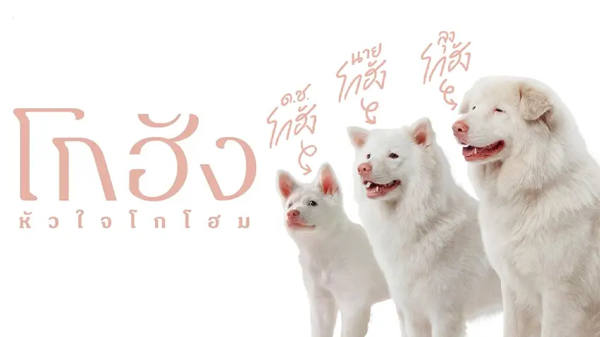 โกฮัง..หัวใจโกโฮม ทำรายได้ 70 ล้านใน 2 สัปดาห์ Image3