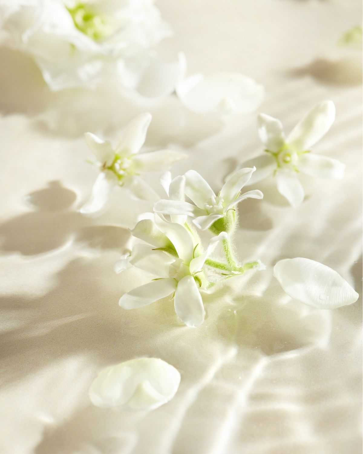 กลิ่นดอกไม้ ความหวานที่ไม่ได้มาจากน้ำตาล แต่มาจากความรู้สึก Image3