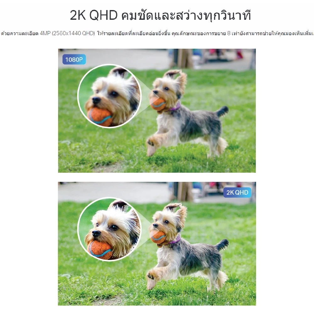 TP-Link Tapo C320WS กล้องวงจรปิดสายคุ้ม ภาพชัด สีตอนกลางคืน ใช้ได้จริงรอบบ้าน Image2