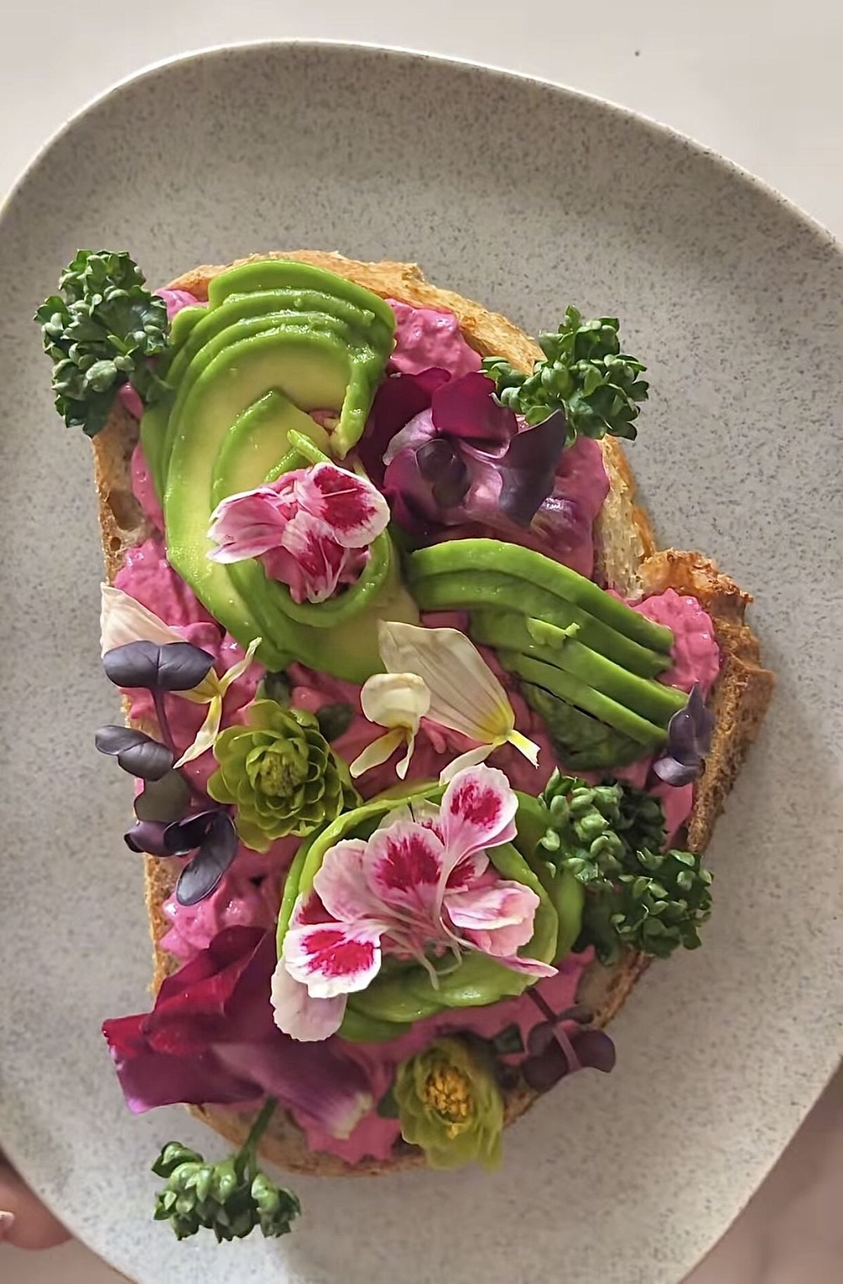 ดอกไม้กินได้ ความน่ารักบนจาน…ที่มากกว่าความสวย Image3