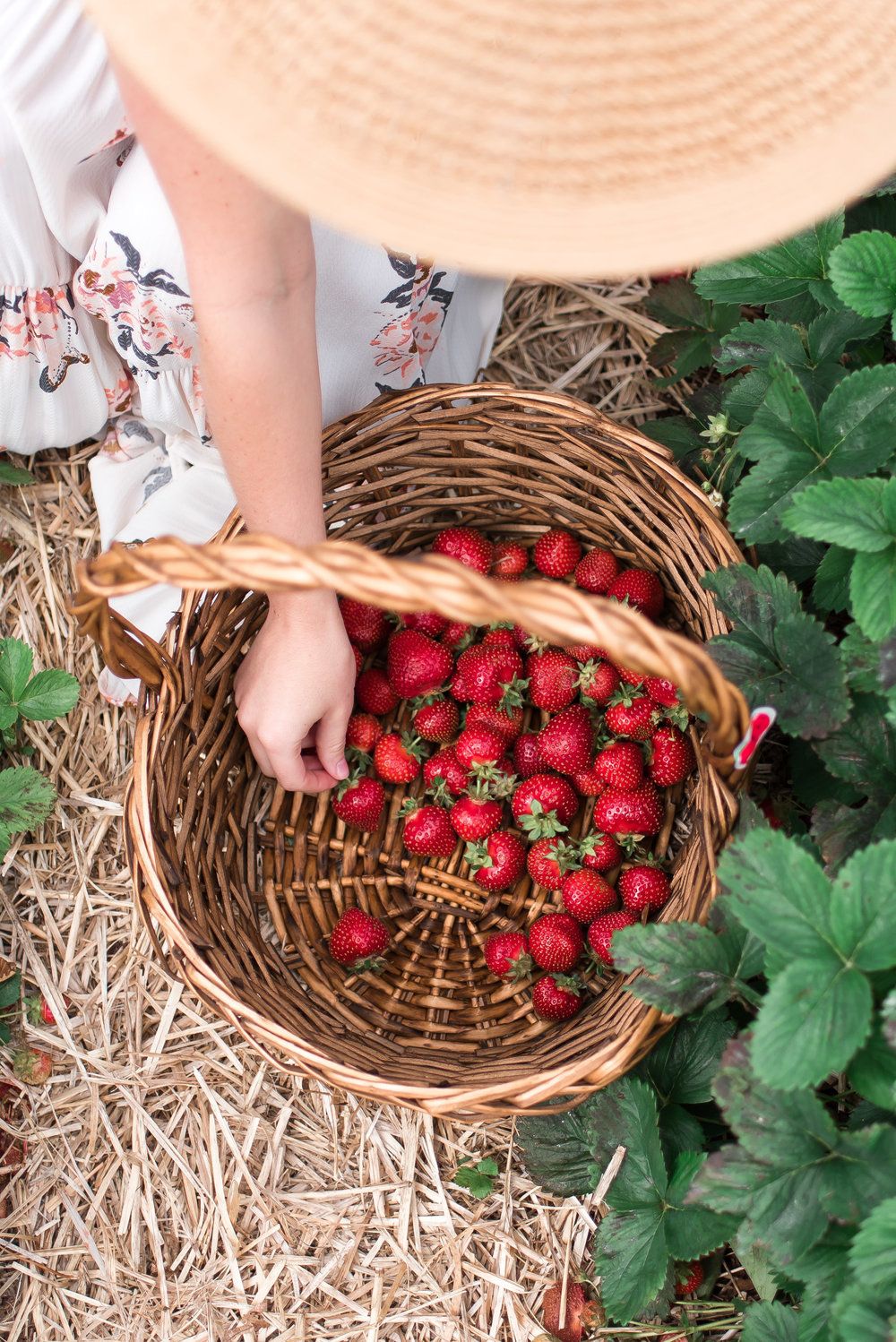 สตรอว์เบอร์รี่ ผลไม้ที่ไม่ได้มีดีแค่อร่อย แต่ช่วยดูแลผิวได้ Image3