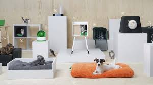 ของใช้จำเป็นสำหรับคนเลี้ยงหมาและแมว Image1
