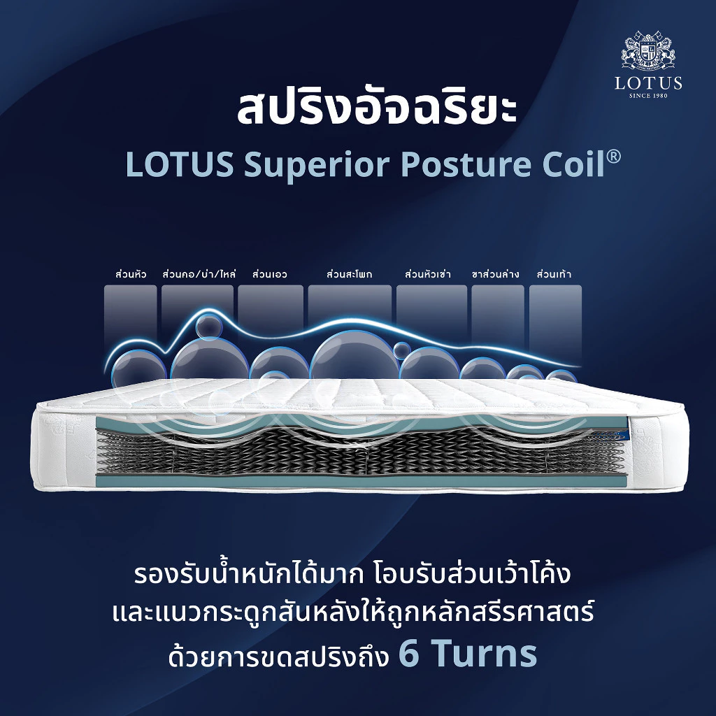 LOTUS Angelus ที่นอนสาย “แน่นสบาย” ที่คนปวดหลังพูดถึงเยอะ Image3