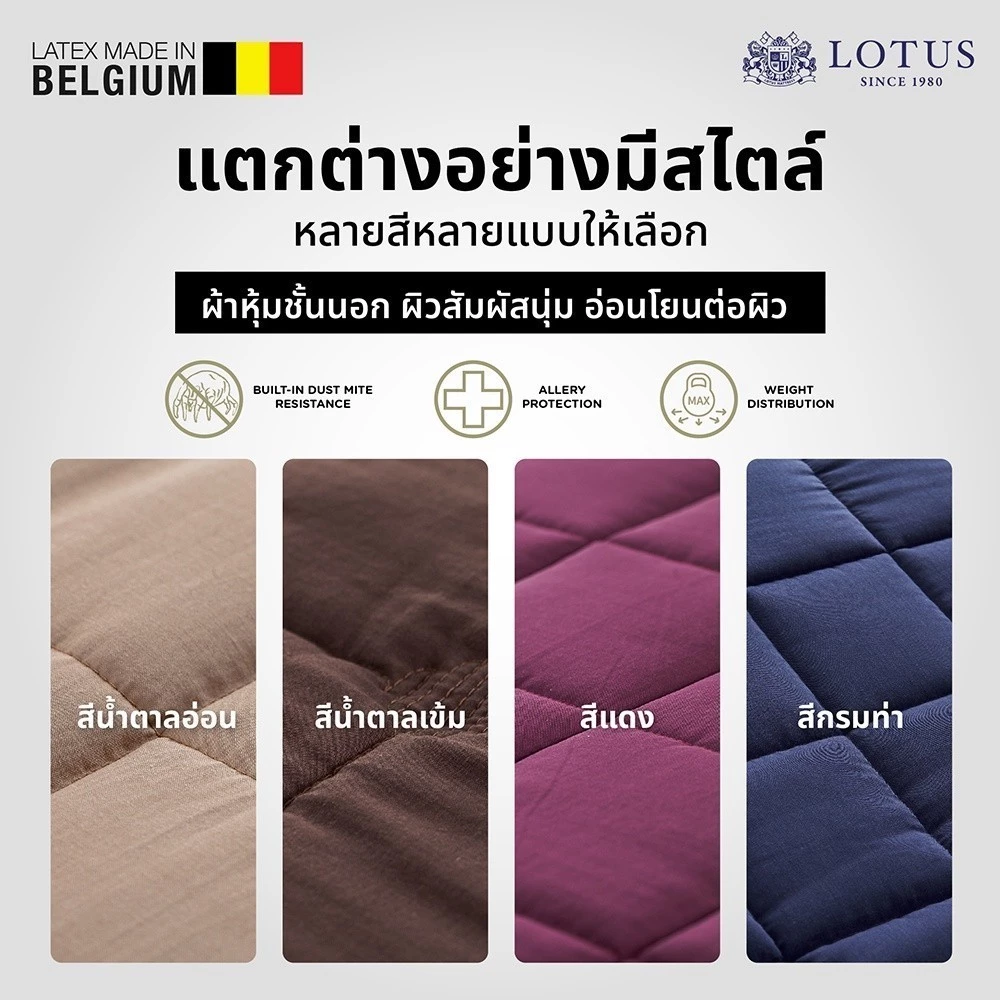 LOTUS Latex Made in Belgium ที่นอนสาย “แน่นแต่นุ่ม” ที่คนปวดหลังเริ่มมองกันเยอะ Image1