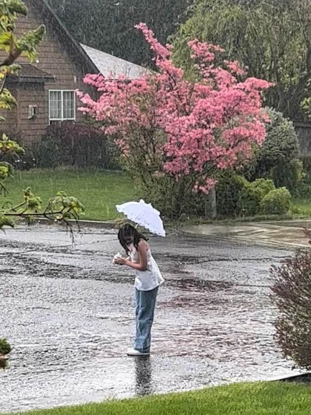 “ฝนปรอย” ทำไมหลายคนถึงรู้สึกว่าป่วยง่ายกว่าฝนตกหนัก? 