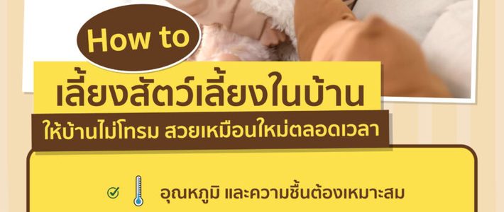 คู่มือดูแลสัตว์เลี้ยงยามอากาศร้อน