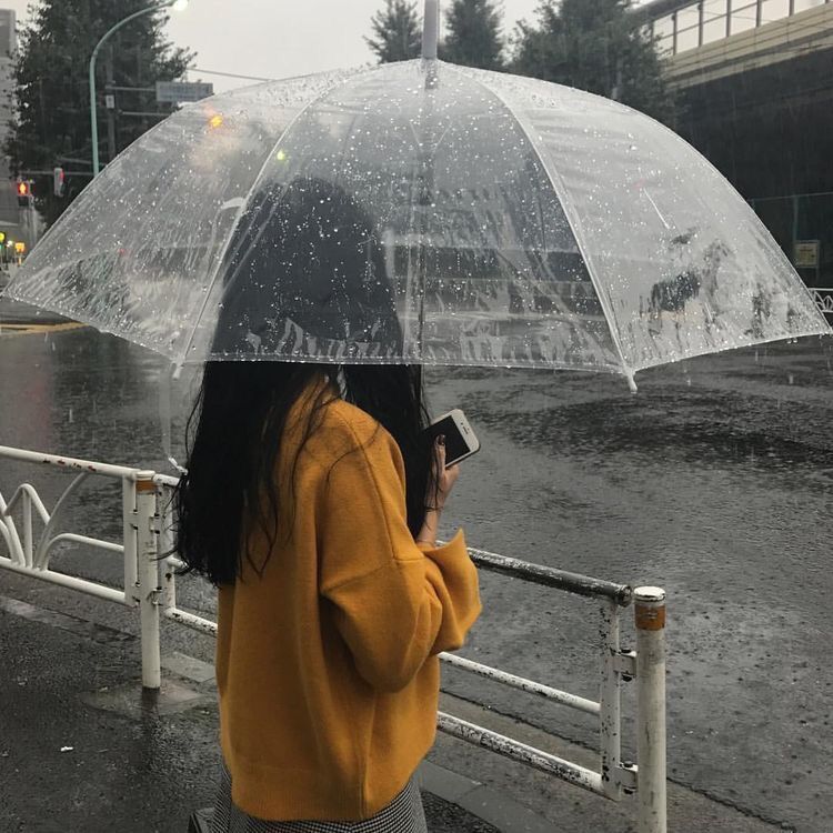 ทำไมเสียงฝนตกถึงทำให้เรารู้สึกสงบ? เพราะสมองกำลังเปลี่ยนโหมดโดยไม่รู้ตัว Image2
