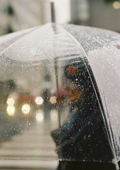ทำไมเสียงฝนตกถึงทำให้เรารู้สึกสงบ? เพราะสมองกำลังเปลี่ยนโหมดโดยไม่รู้ตัว Image3