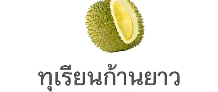 กินทุเรียนปี 2026 ยังไงไม่อ้วน