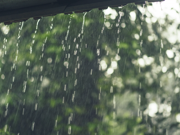 ทำไมฝนตกแล้วง่วงกว่าปกติ?