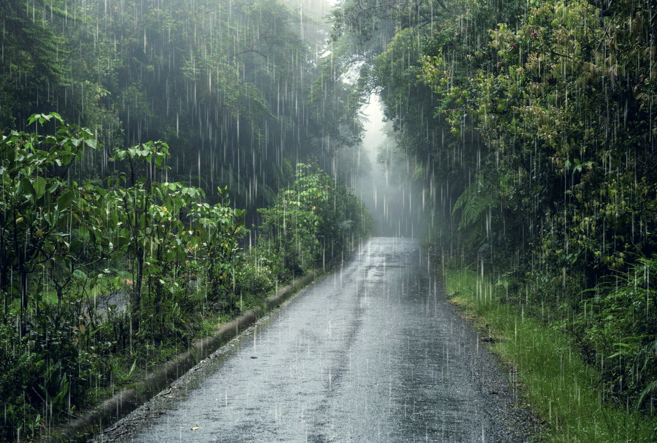 ทำไมช่วงฝนตกแมลงถึงเข้าบ้านมากขึ้น? Image1