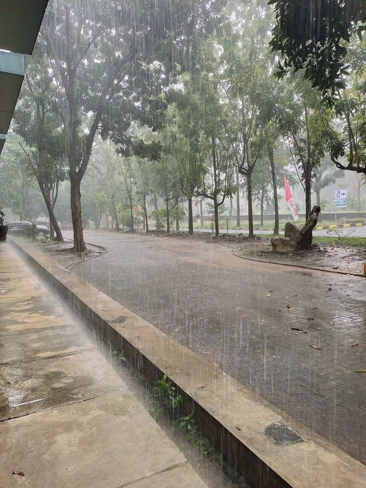 ทำไมเพลงคิดถึงต้องมาหน้าฝน? เมื่อสายฝนทำให้ความทรงจำดังขึ้นกว่าเดิม Image1