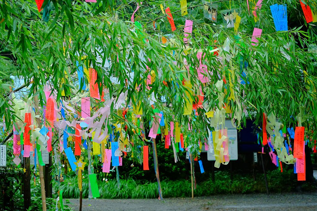 ทำไมชาวญี่ปุ่นจึงแขวนคำอธิษฐานบนต้นไผ่ในวันทานาบาตะ Image1