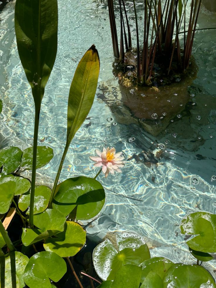 ทำไมการถ่ายรูปวิวธรรมชาติ ถึงกลายเป็นเทรนด์ที่ใครก็ทำ? Image2