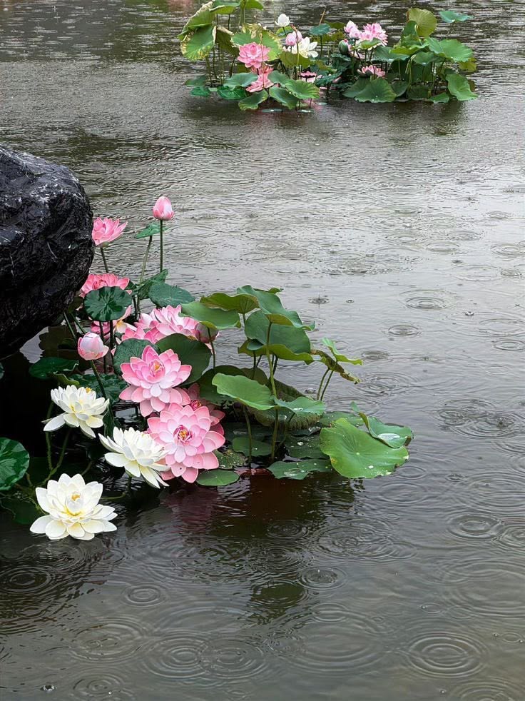 ทำไมการถ่ายรูปวิวธรรมชาติ ถึงกลายเป็นเทรนด์ที่ใครก็ทำ? Image1