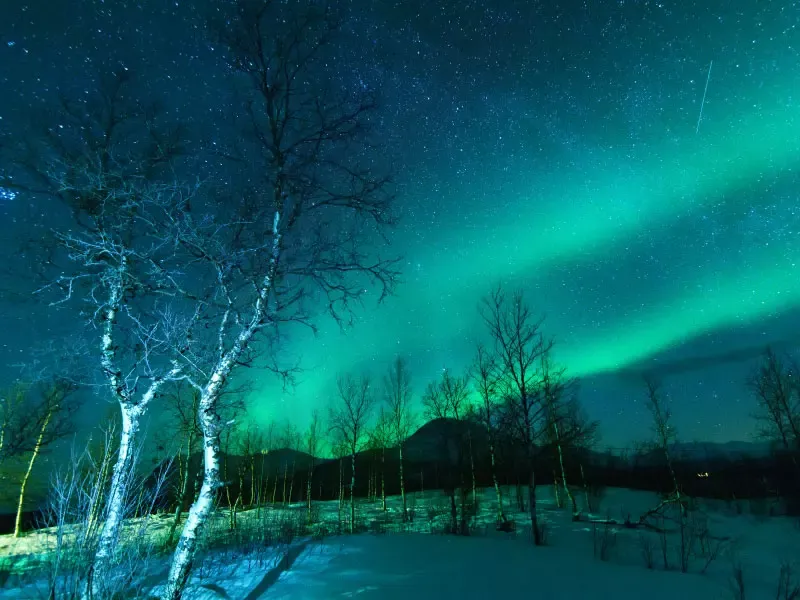 แสงเหนือ (Aurora Borealis) ชมปรากฏการณ์ธรรมชาติสุดมหัศจรรย์ในสวีเดน Image1