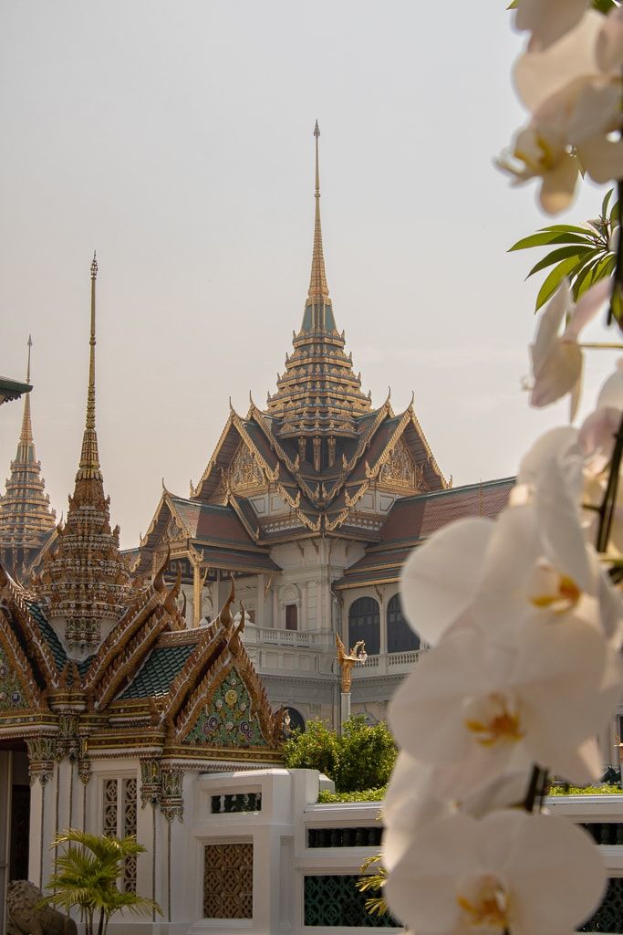 ทำไมชาวยุโรปถึงชอบหนีหนาวมาเที่ยวไทย? ทั้งที่ไทยก็ร้อนเหมือนกัน Image3
