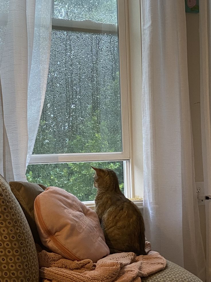 ทำไมฝนตกทีไร หนังตาหนักทุกที Image1