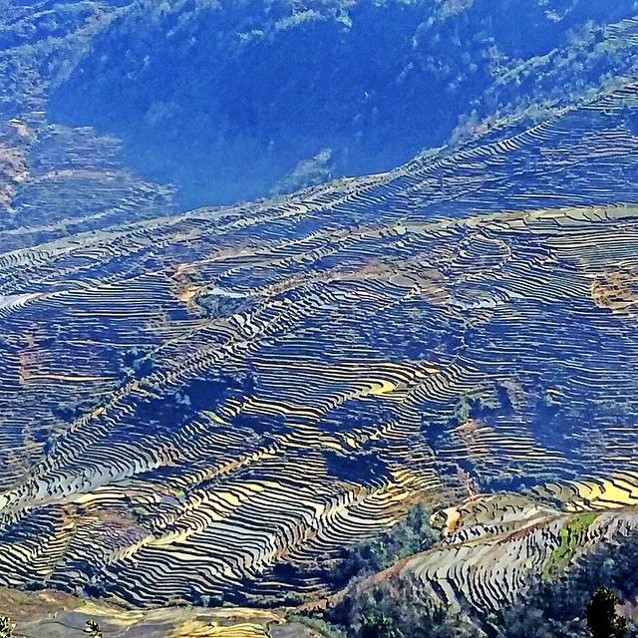 นาขั้นบันไดหยวนหยาง (Yuanyang Rice Terraces) นาขั้นบันไดอันสวยงามที่สร้างโดยชนเผ่าฮาหนี Image1