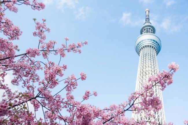 โตเกียวสกายทรี (Tokyo Skytree) หอส่งสัญญาณที่สูงที่สุดในญี่ปุ่น พร้อมจุดชมวิวแบบพาโนรามา Image1