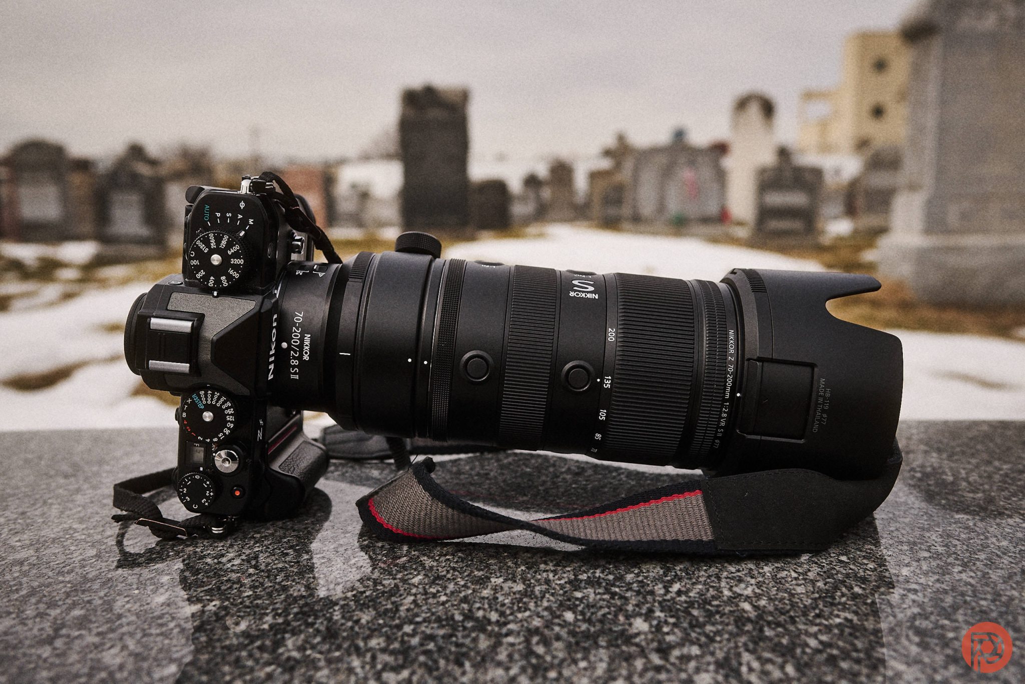 เลือกเลนส์ 70-200mm สำหรับกีฬาและสัตว์ป่า: Nikon Z เทียบซูมไกล 180-600mm