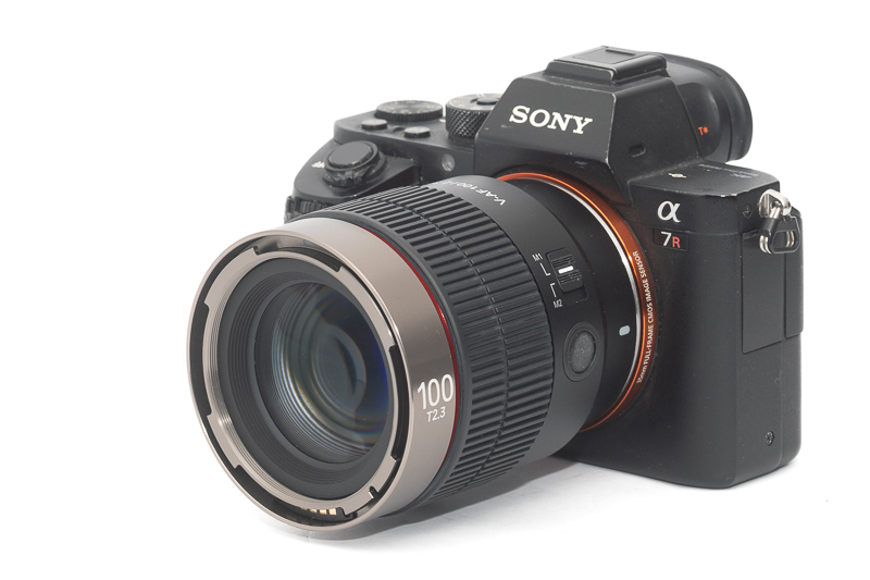 ศึกเลนส์ 85mm Portrait เปรียบเทียบ Viltrox, Meike, Sigma และ Samyang