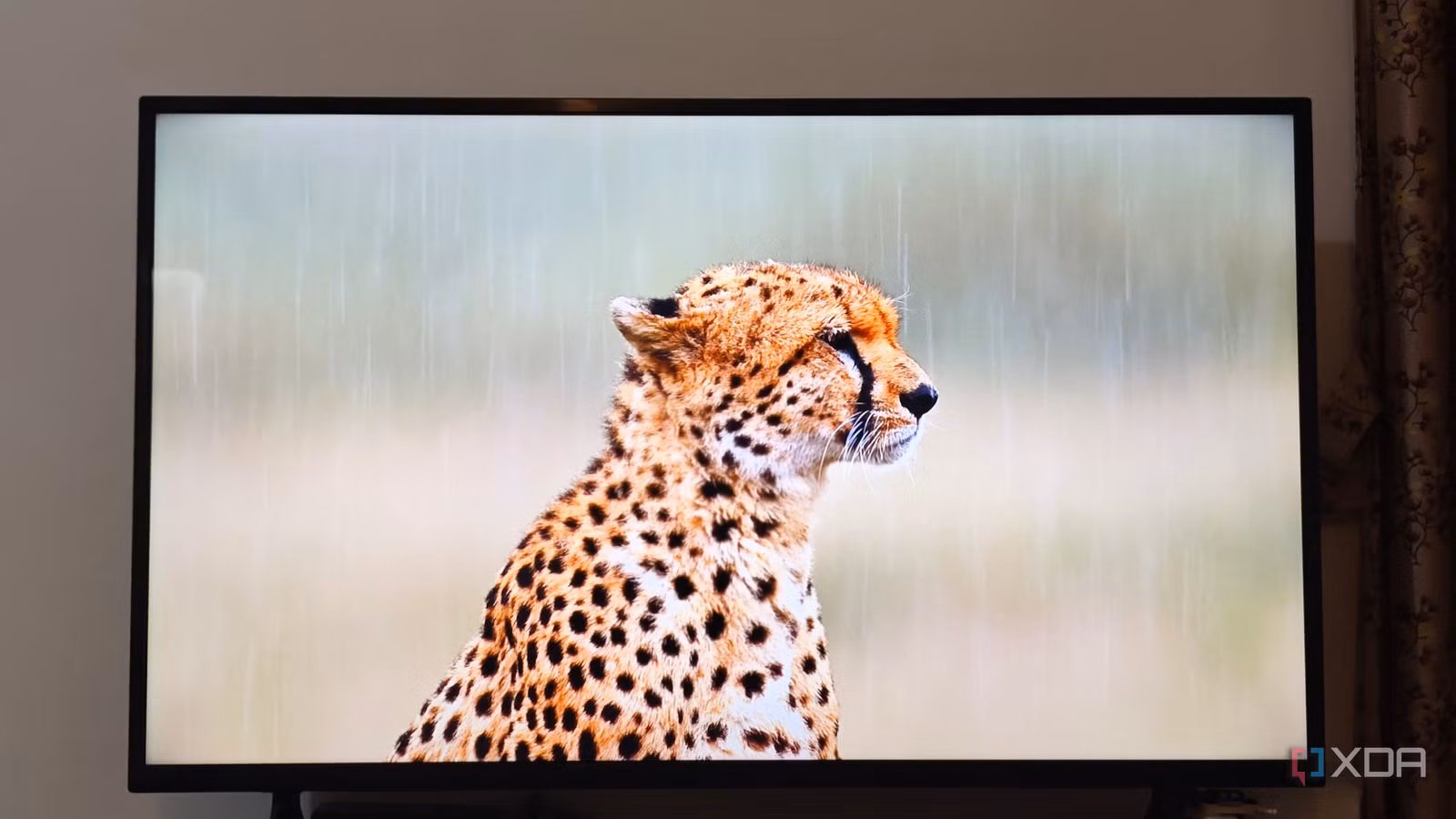 ถึงเวลาซื้อทีวี OLED ระดับพรีเมียมหรือยัง? คู่มือจัดเต็ม
