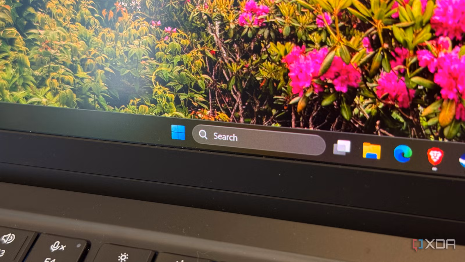 ล้างพื้นที่ Windows 11 จาก Search และไฟล์อัปเดตที่กิน SSD