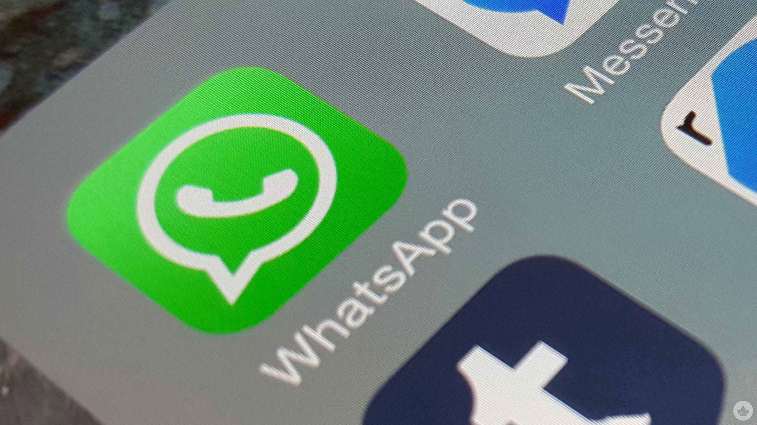 WhatsApp กลุ่มแชทเปลี่ยนเกม ด้วยโพลใหม่และ @everyone