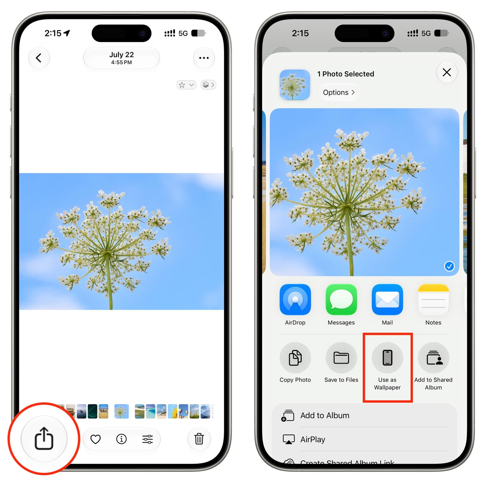 คู่มือ AI วอลเปเปอร์ iPhone ปรับแต่ง Lock Screen ด้วย Apple Intelligence