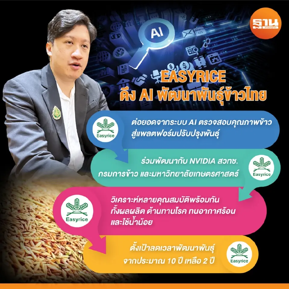 AI และภาพถ่ายดาวเทียมกำลังเปลี่ยนเกมการปรับปรุงพันธุ์ข้าว