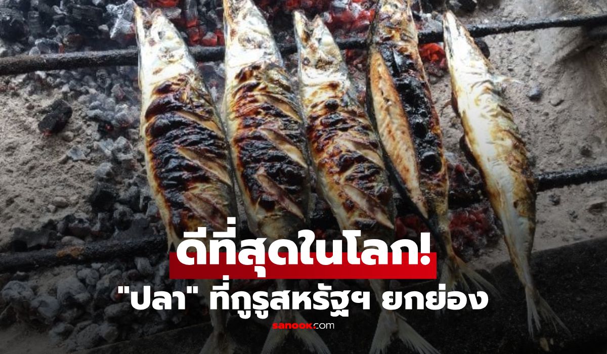 ปลาเล็กโปรตีนสูง ดีกว่าและอร่อยกว่าที่คุณคิด